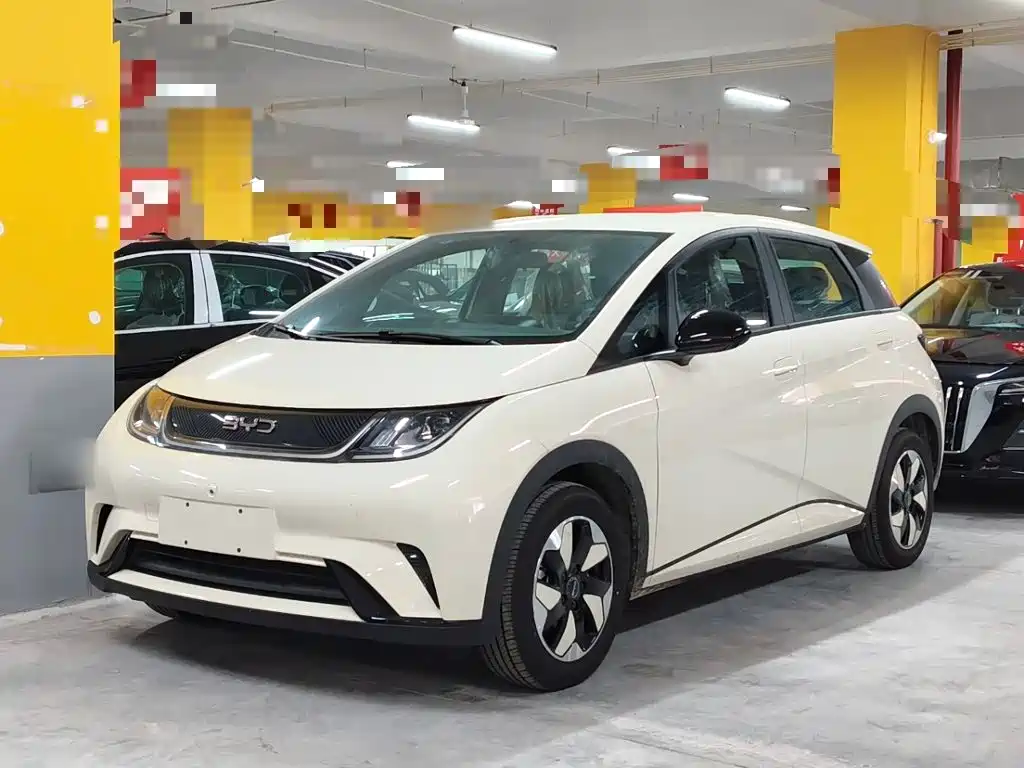 2026 BYD Dolphin
