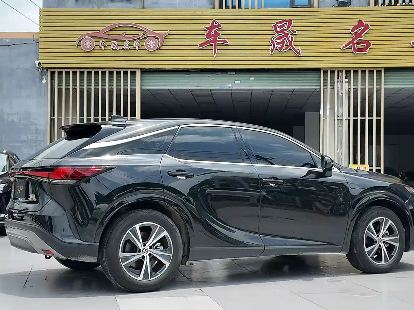 Lexus RX 2023 350h 2WD Joy Edition фото 11
