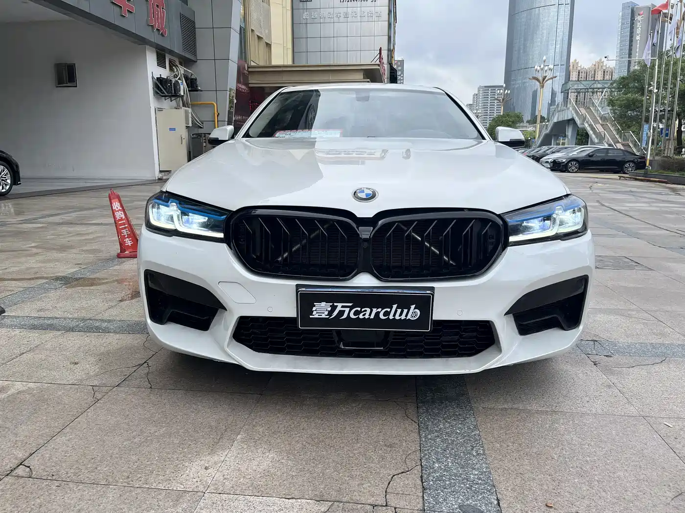 BMW 5 Series 2014 530Li Luxury Design Package фото 2