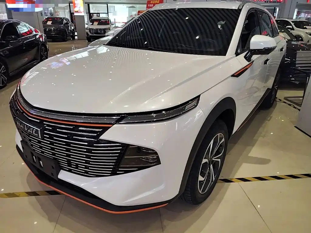 Haval Shenshou 2023 2022 1.5T Smart Enjoyment Edition