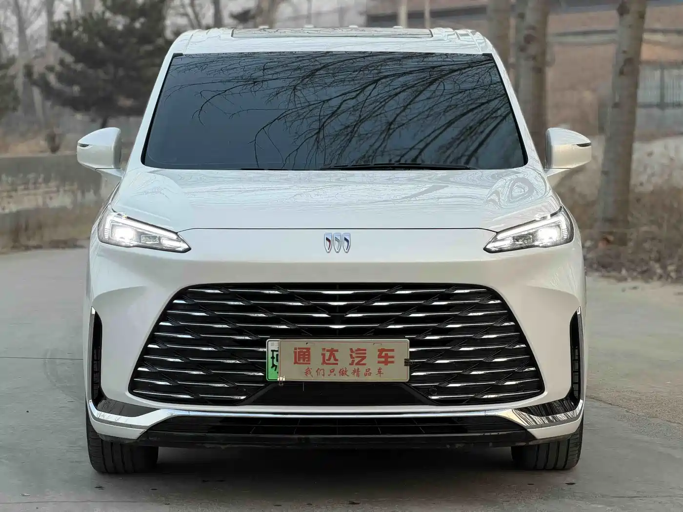 BUICK GL8 NEW ENERGY