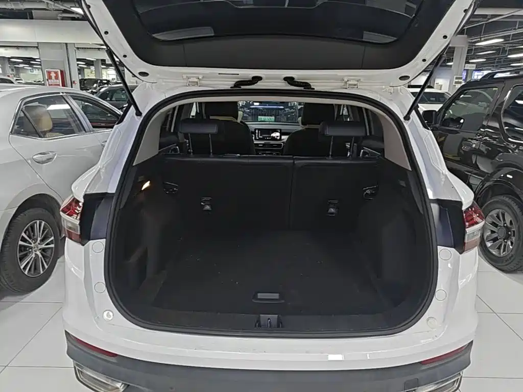Geely Bin Yue New Energy 2021 2020 1.5T ePro Higher