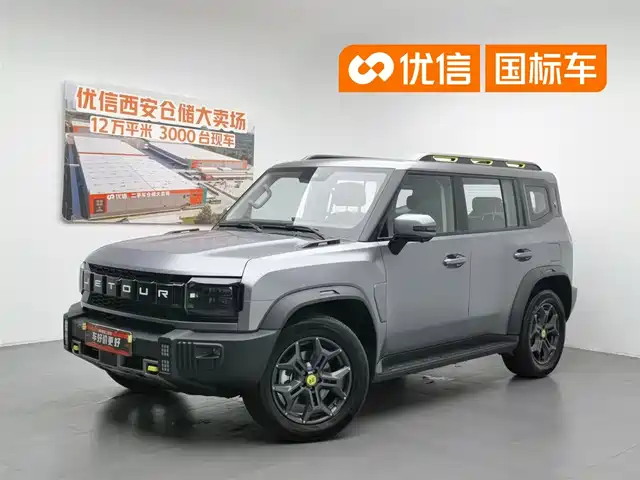 Jetour Shanhai T2 2024 C-DM 129KM Forest Edition