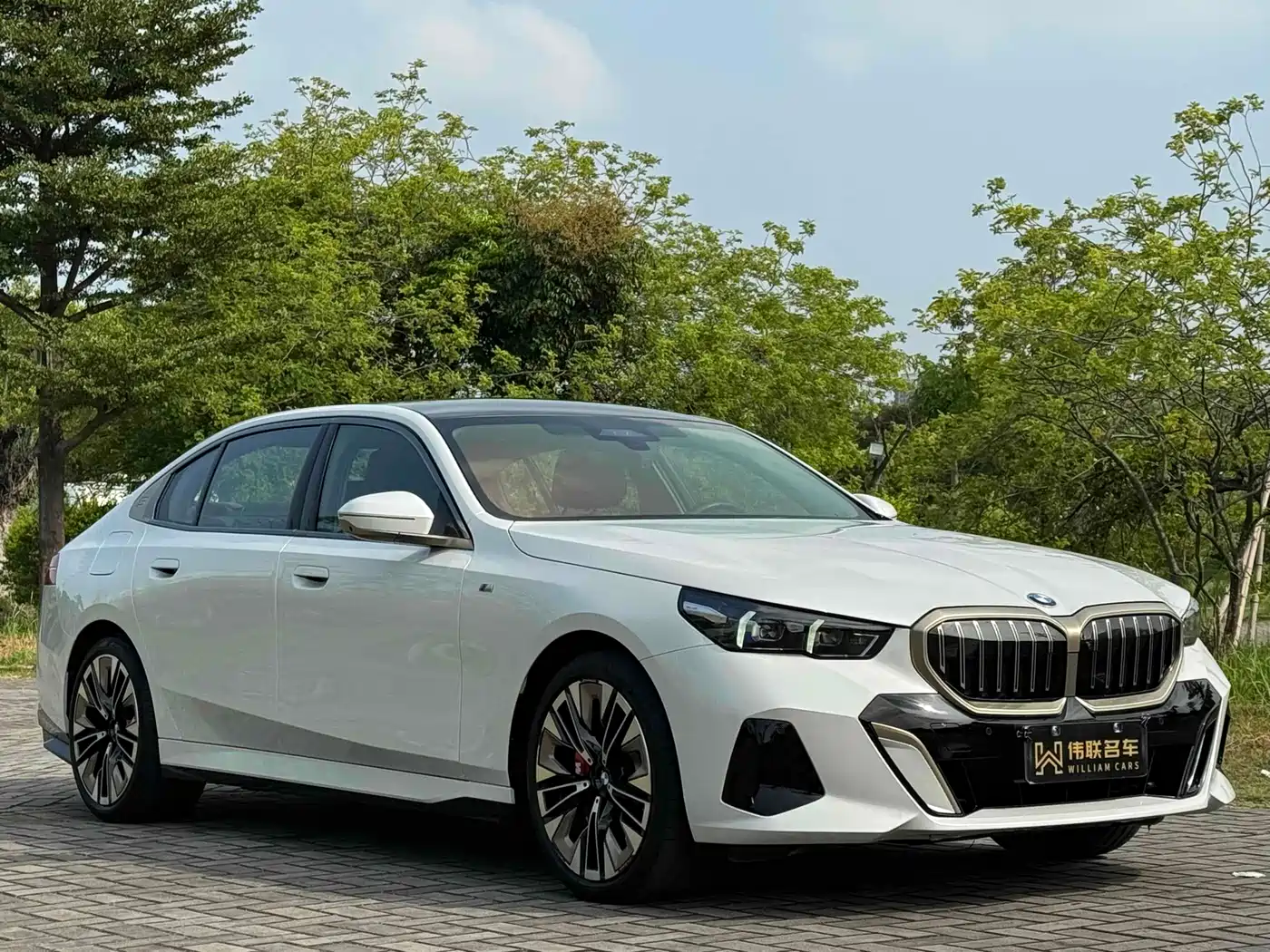 BMW 5 Series 2024 530Li Premium M Sport Package фото 3