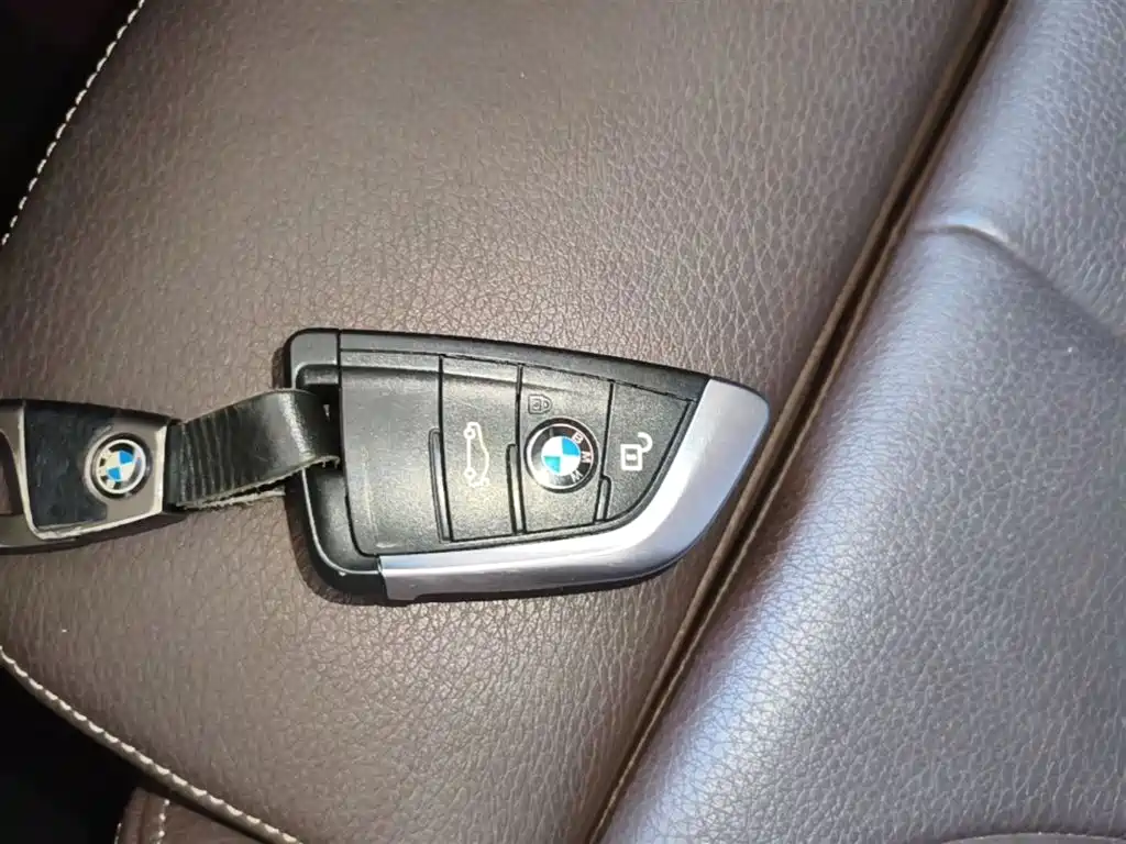 BMW X1 2019 xDrive20Li Premium Model фото 9