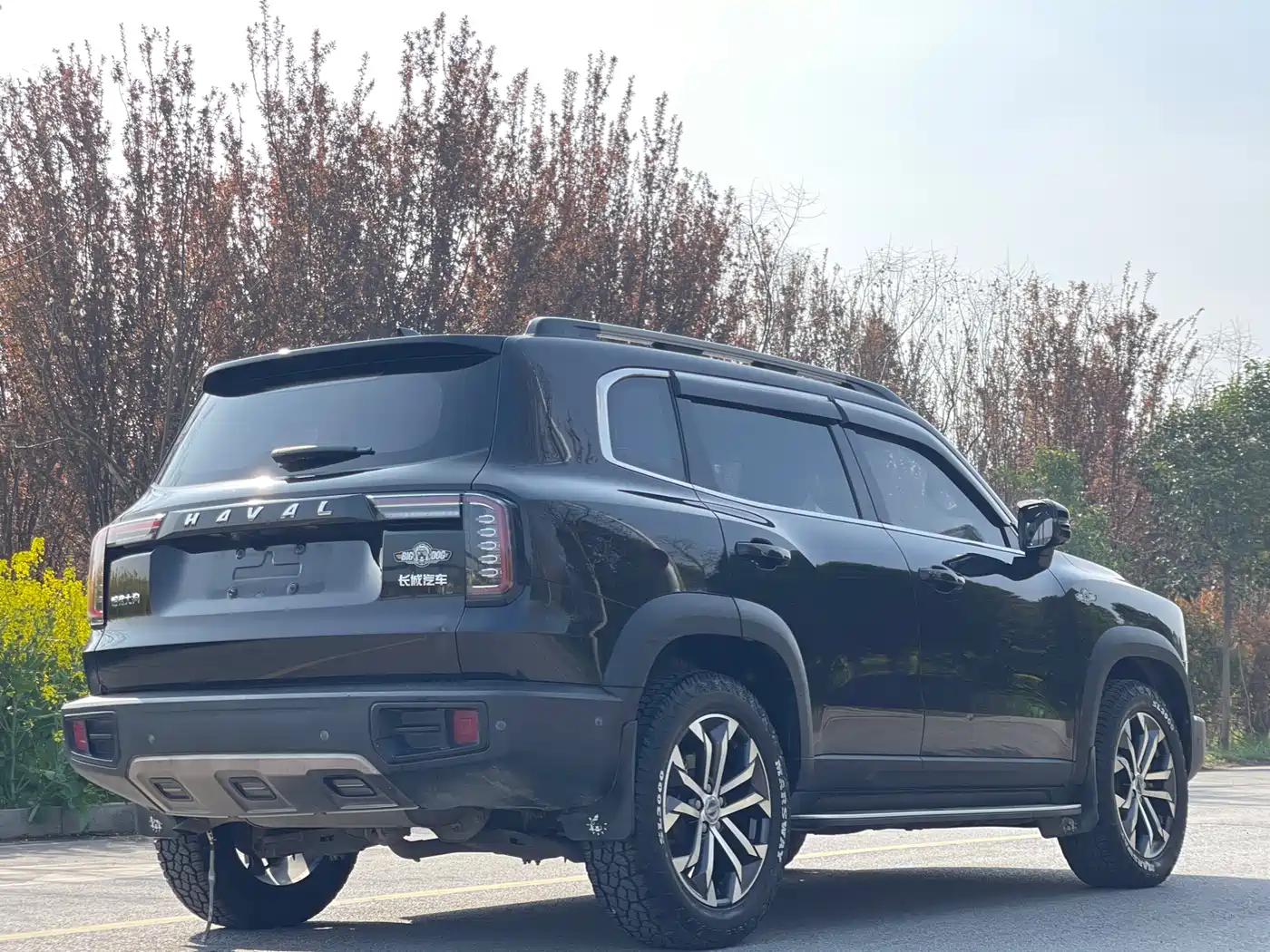 HAVAL BIG DOG