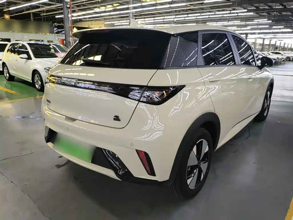 BYD Dolphin 2023 420km Fashion Edition фото 7