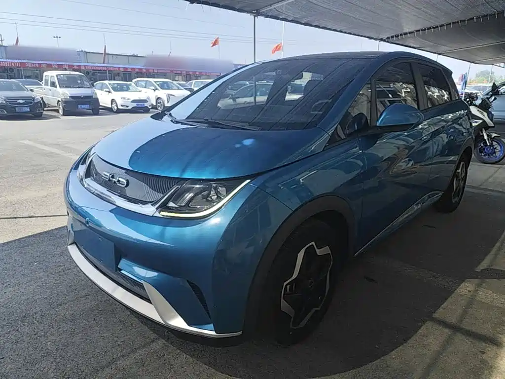 BYD Dolphin 2022 2021 Model 405km Fashion Edition
