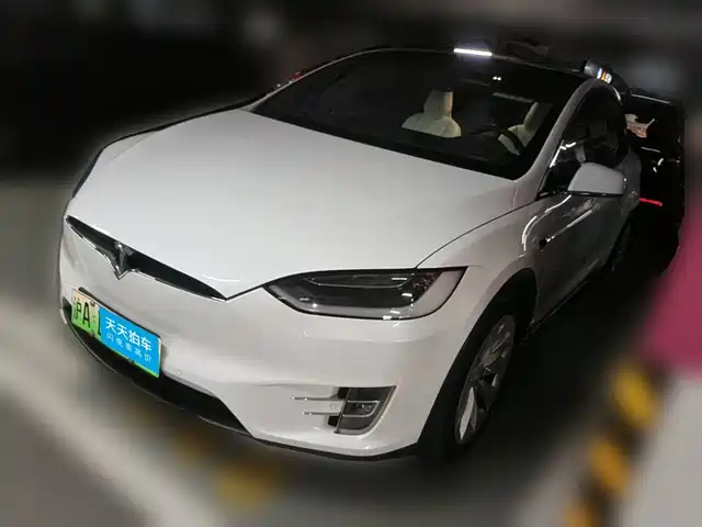 Tesla Model X 2017 Model X 100D Long Range — фото 1