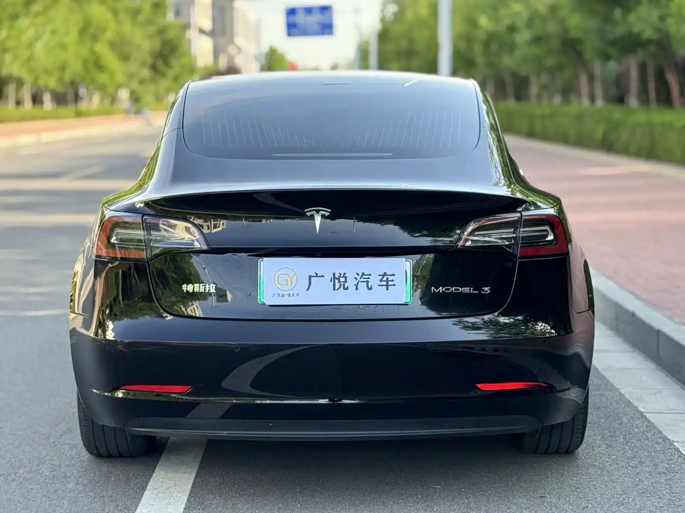 Tesla Model 3 2020 2019 Standard Range Rear-Wheel Drive Upgrade