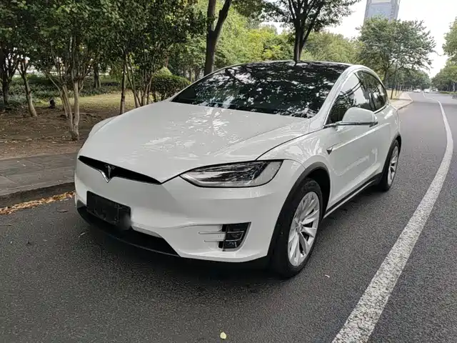  Tesla Model X 2019 Performance High-performance Version