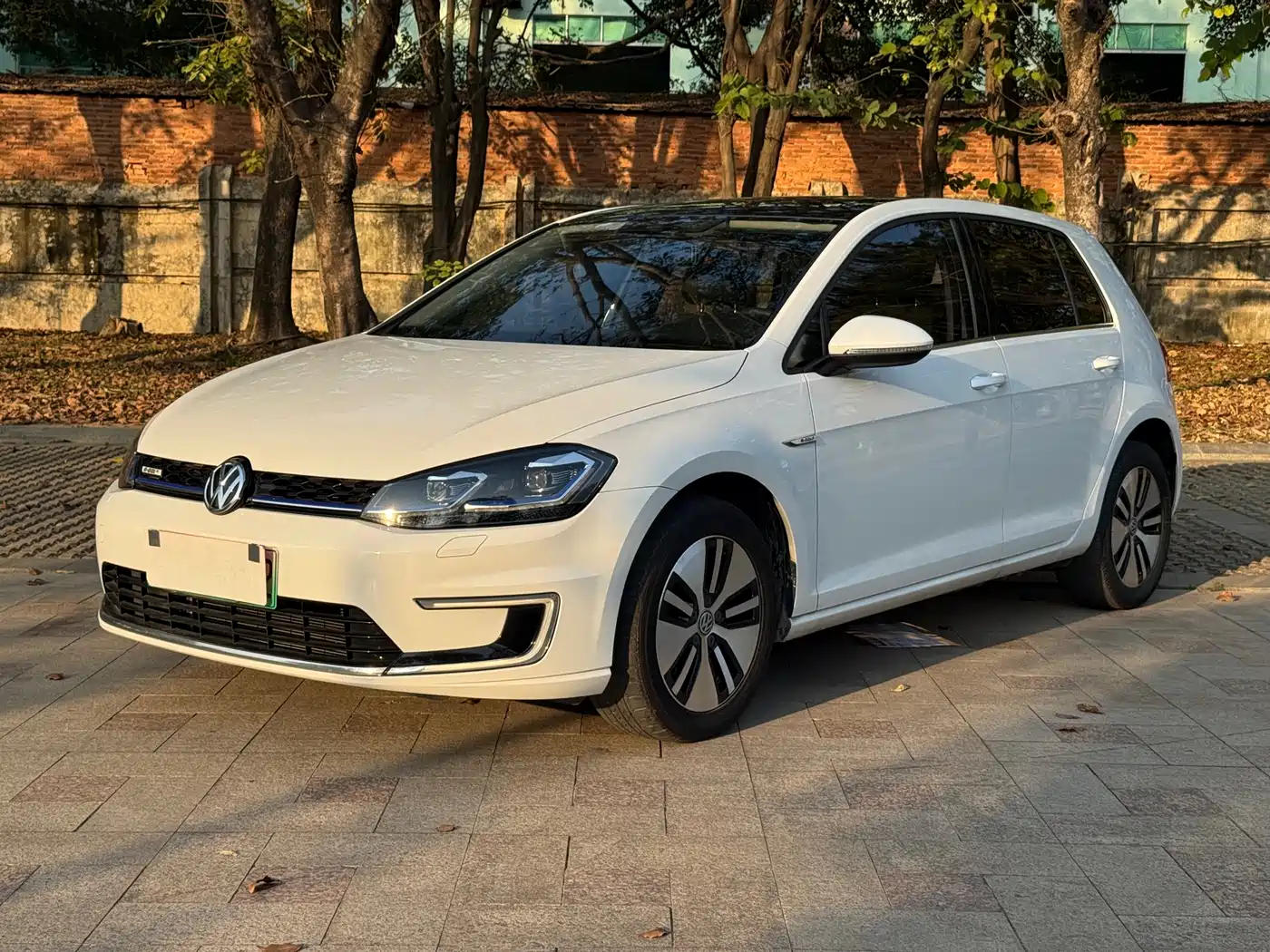 VOLKSWAGEN GOLF*PURE ELECTRICITY