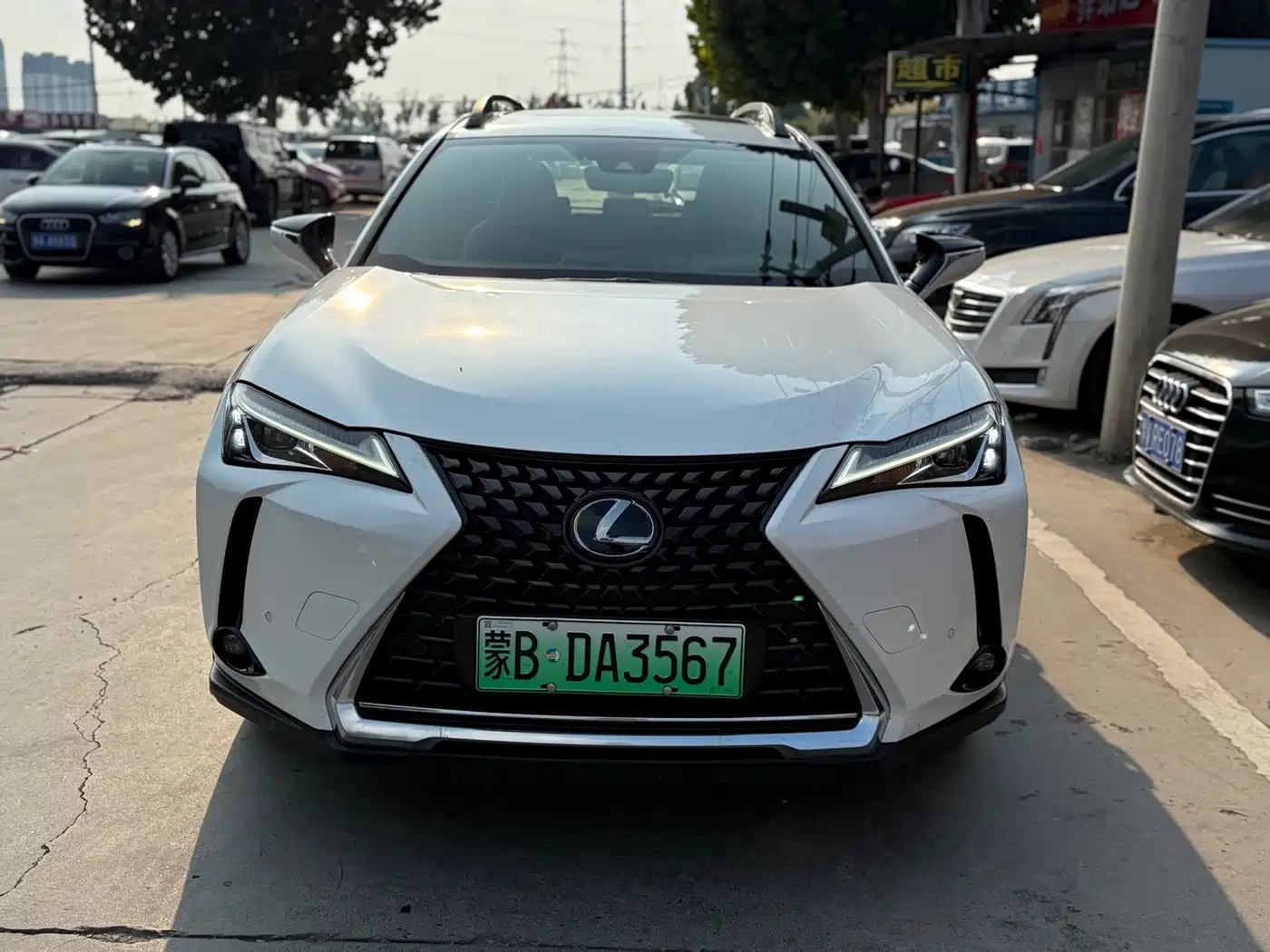 Lexus UX Electric 2022 2020 300e Pure Enjoyment Edition