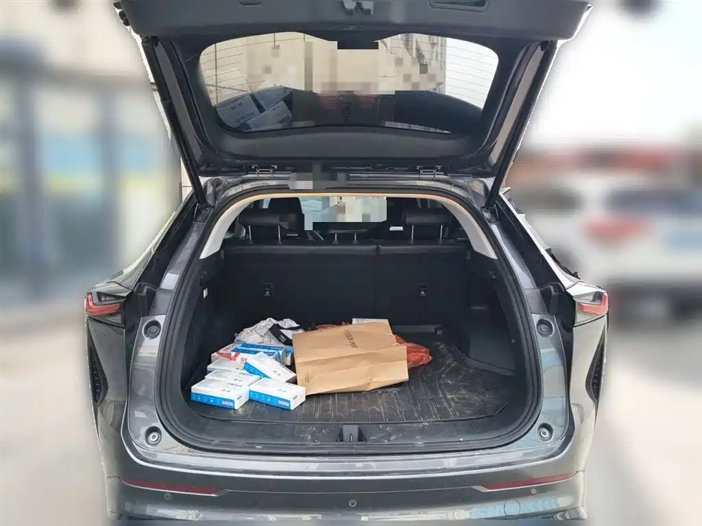 Changan Oshan Z6 2023 2022 Blue Whale 1.5T DCT Smart City Edition