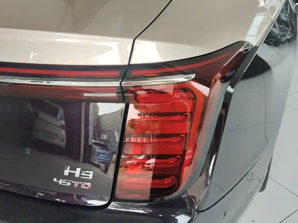 Photo 8 - Hongqi H9