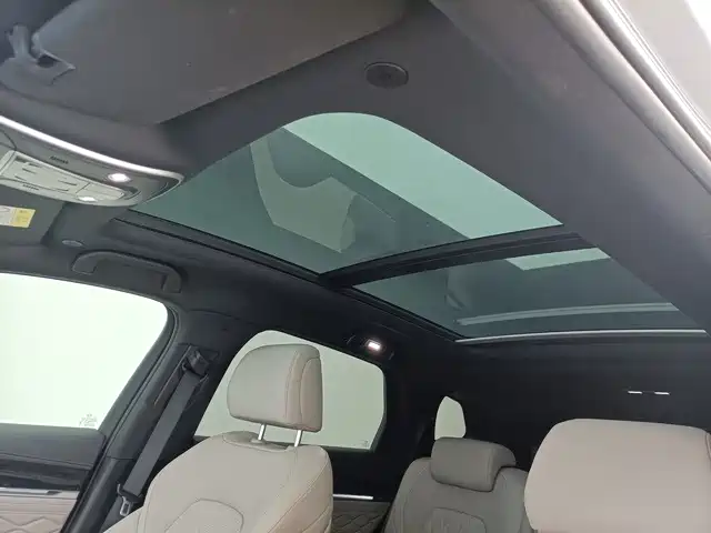 BYD Tang New Energy 2024 2024 DM-i Honor Edition 112KM Premium