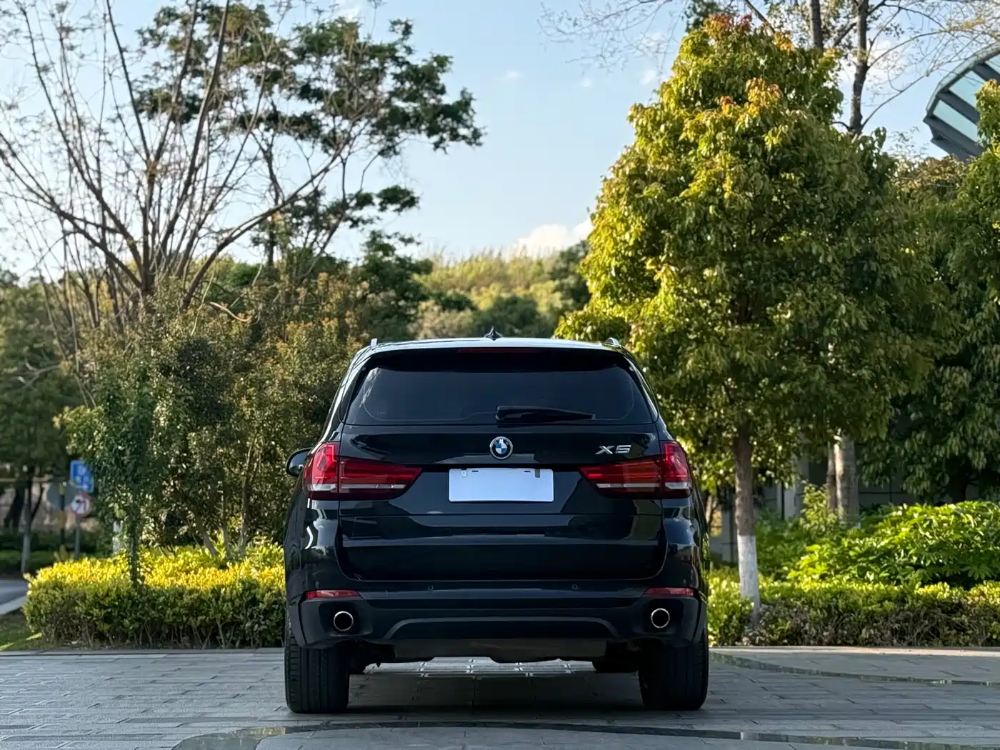 BMW X5 (Import) 2014 xDrive35i Leading фото 8
