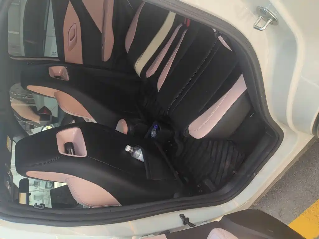 BYD Seagull 2026 2025 Smart Drive Edition 305km Freedom Version