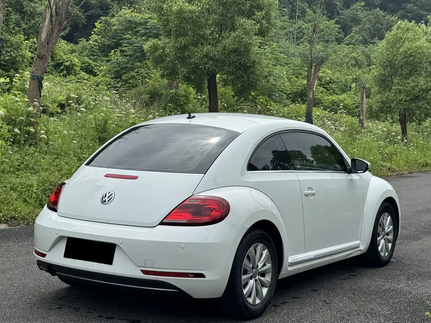 Volkswagen Beetle 2019 180TSI Collector's Edition фото 4