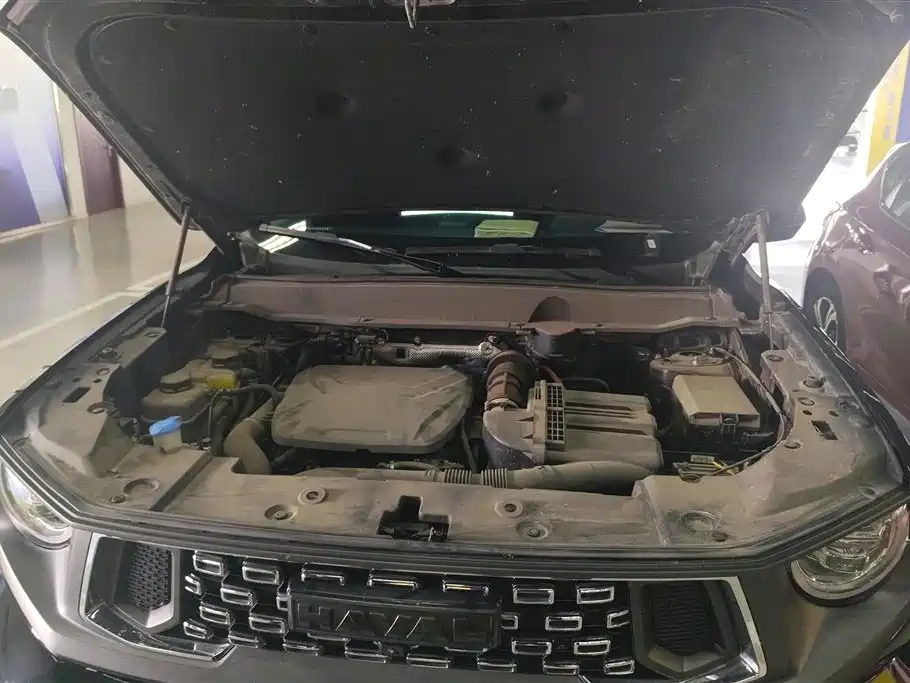 Haval Second-Generation Big Dog New Energy 2023 DHT-PHEV 105km Trendy Electric Edition Plus фото 10