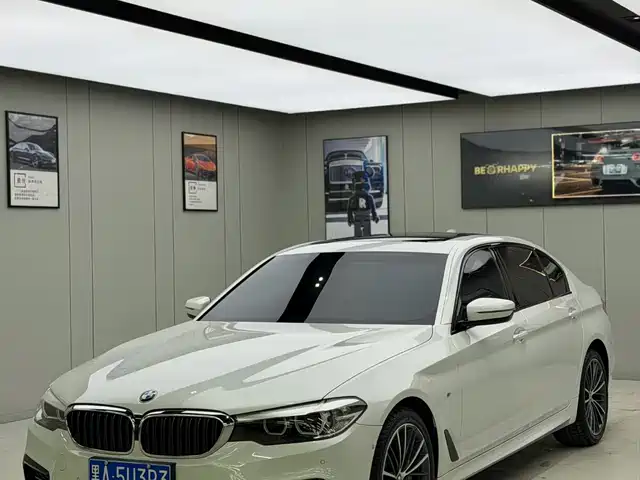 BMW 5 SERIES
