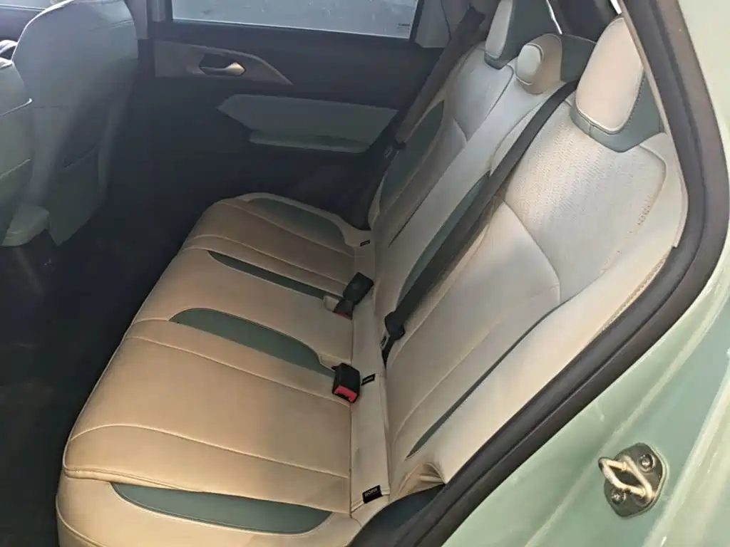 Geely Geometry E Firefly 2023 2023 401KM Linglong Tiger 5-Seater