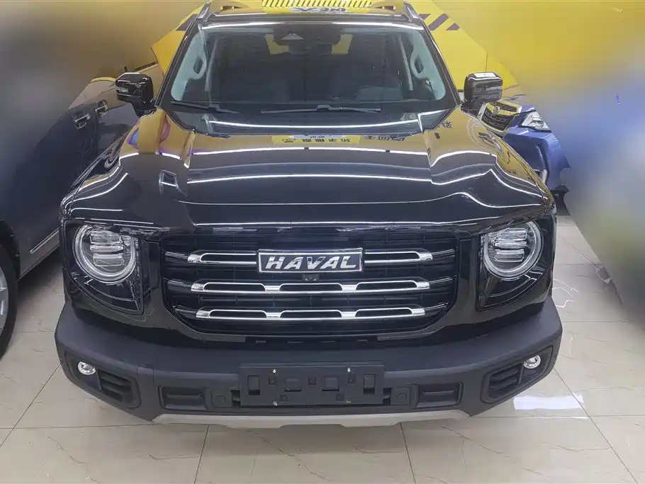 Haval Big Dog 2021 1.5T DCT 2WD Border Collie Edition фото 2