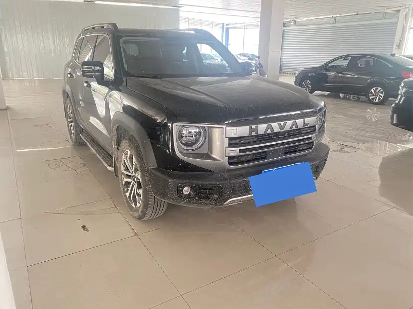 Haval Big Dog 2024 1.5T DCT Border Collie Edition фото 3