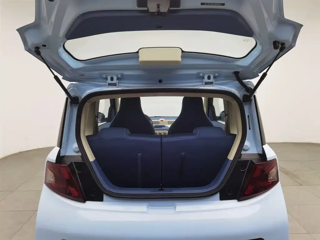 DONGFENG SCENERY MINIEV