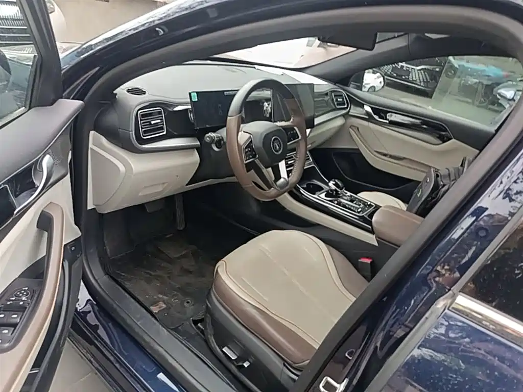 BYD Qin PLUS 2024 Glory Edition DM-i 120KM Surpass фото 15