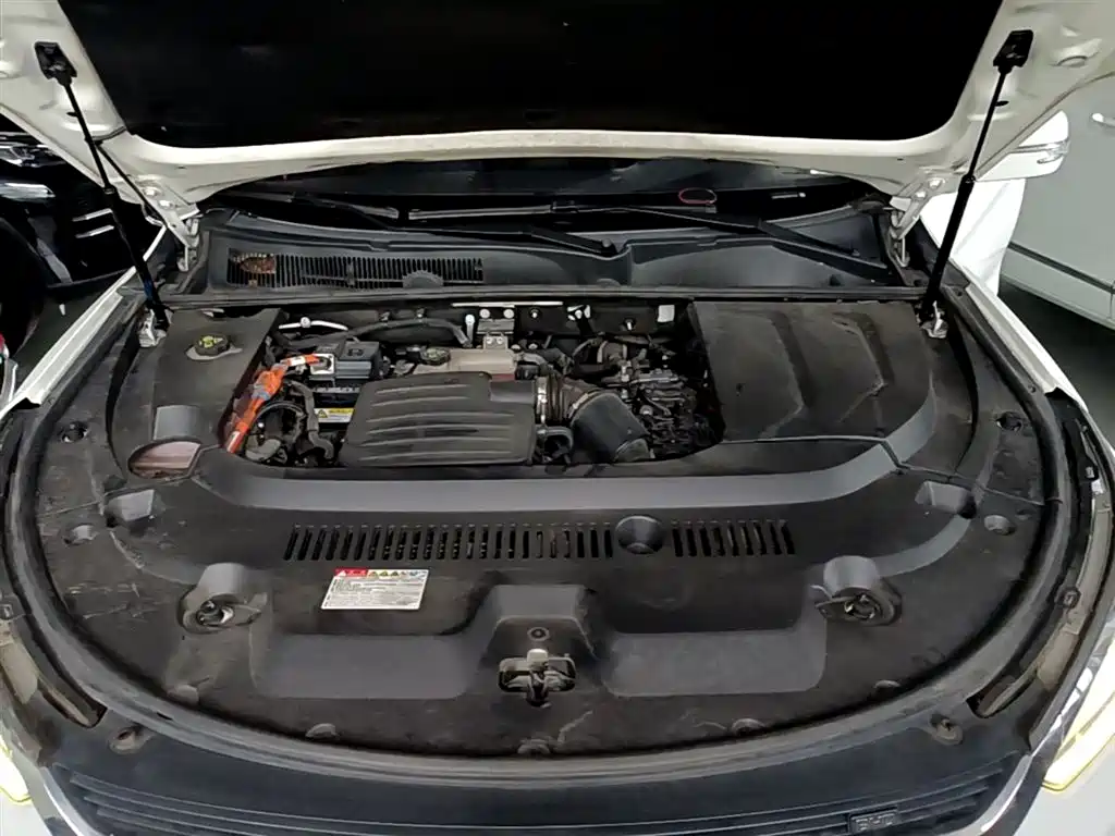 BYD Song New Energy 2019 Song DM 1.5TID Smart Connection Premium Type фото 16