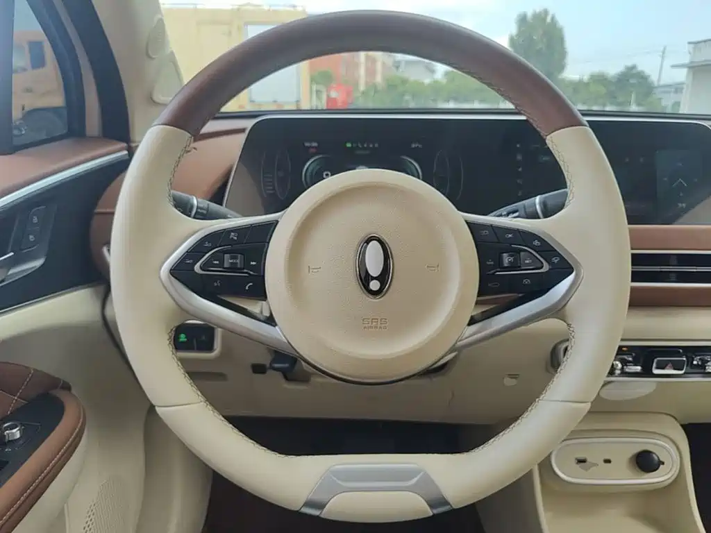 Ora Good Cat 2025 2024 401km Luxury