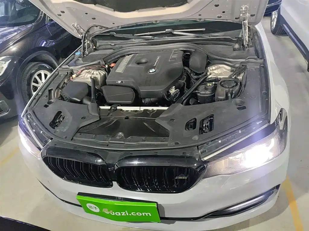 BMW 5 Series 2018 530Li Leading Luxury Package фото 20