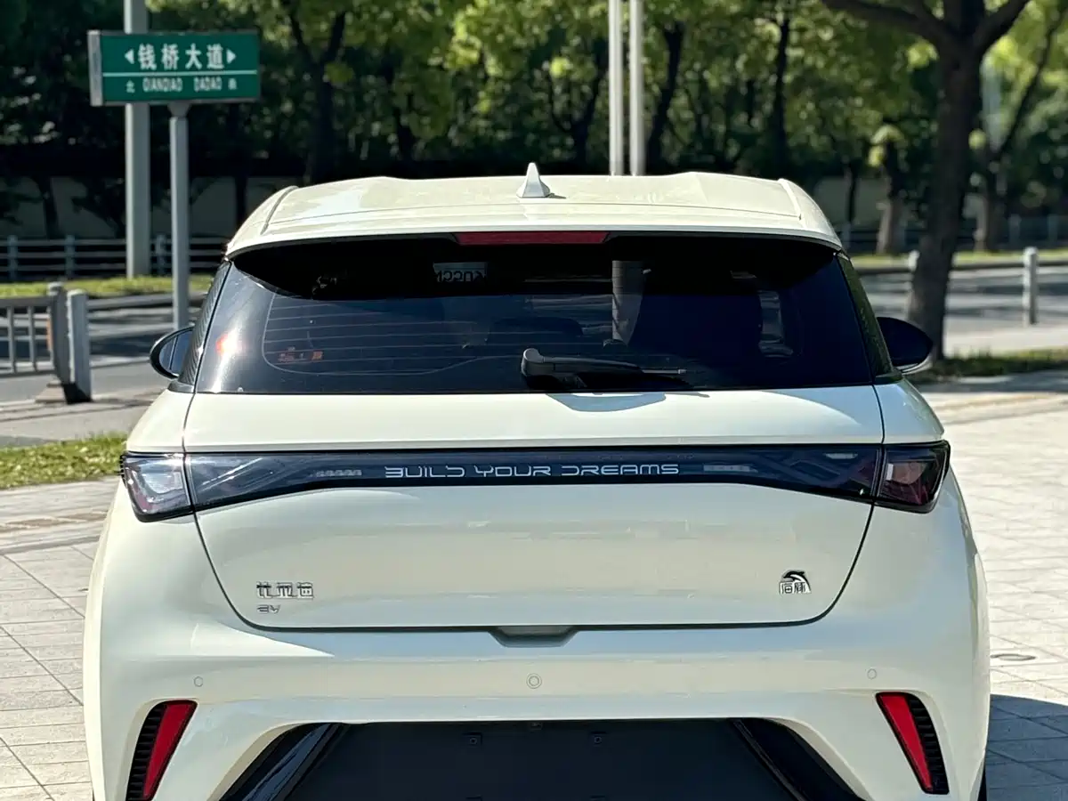BYD Dolphin 2024 Glory Edition 420km Freedom Edition фото 6