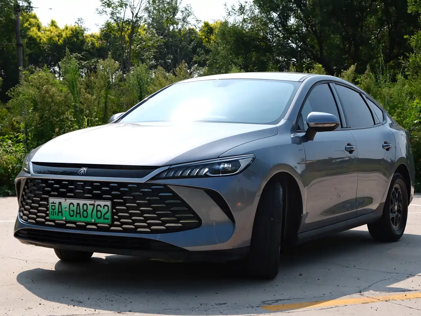 Фото 3 - BYD Qin PLUS