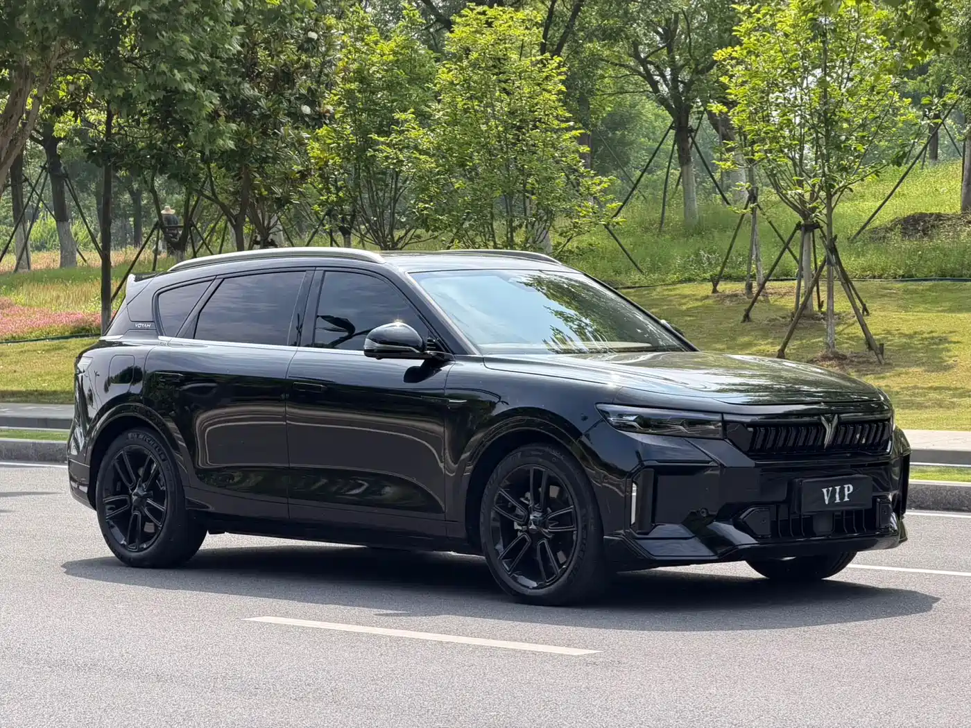 Voyah Auto VOYAH FREE 2024 Ultra Long Range Intelligent Driving Edition фото 3