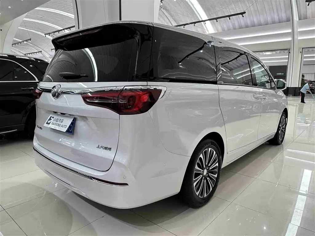 Buick GL8 2022 ES Landmark 653T Flagship фото 19