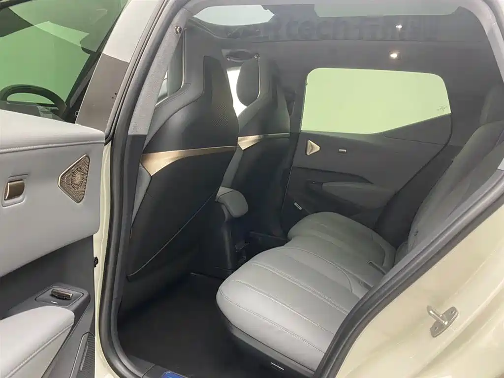 ZEEKR X 2024 2025 Four-Seat Rear-Wheel Drive Magic Cube Edition