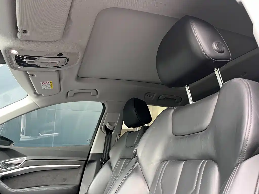 Audi e-tron (Import) 2019 2019 55 quattro Technology