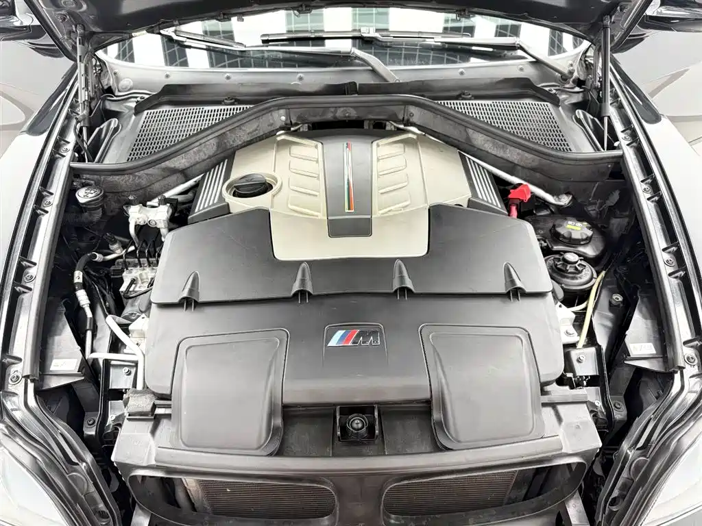 BMW X5 M 2010 X5 M фото 20