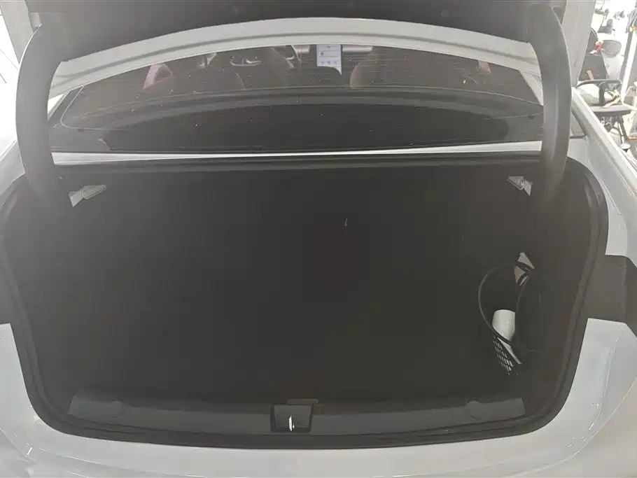 BYD Destroyer 05 2024 Glory Edition DM-i 55KM Luxury фото 4