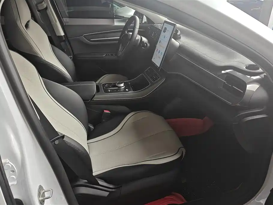 BYD Destroyer 05 2024 Glory Edition DM-i 55KM Luxury фото 8