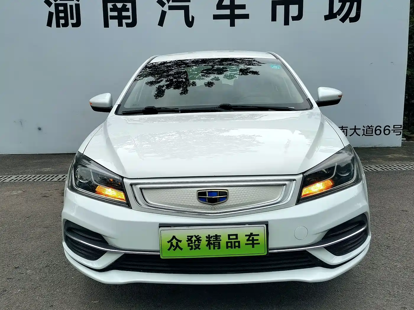 Geely Emgrand New Energy 2019 2018 EV450 Progressive
