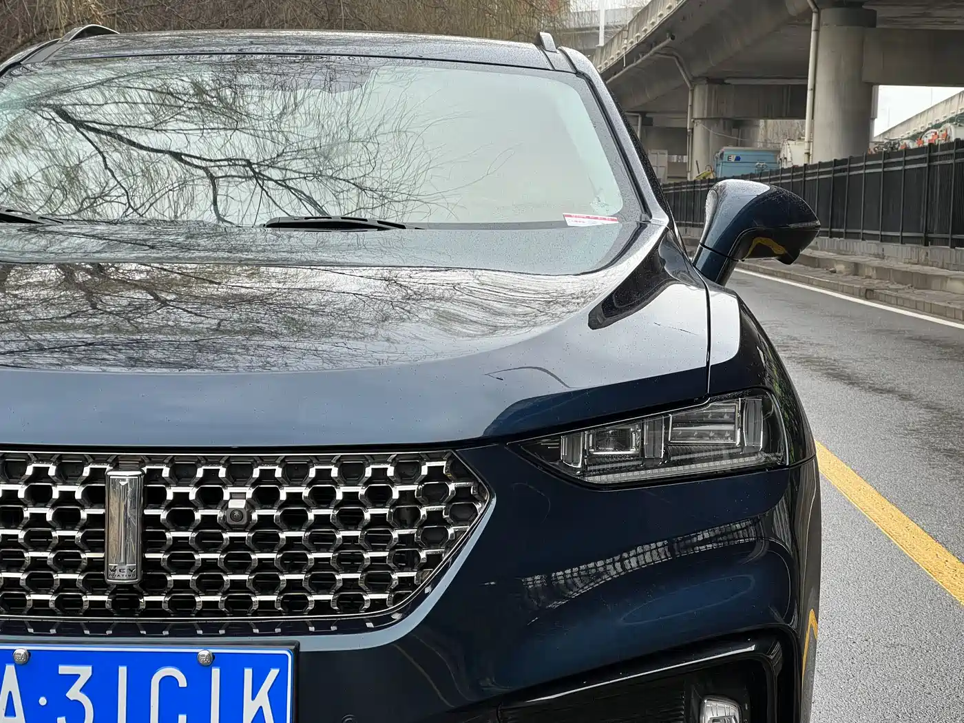 WEI PAI WEI BRAND VV7