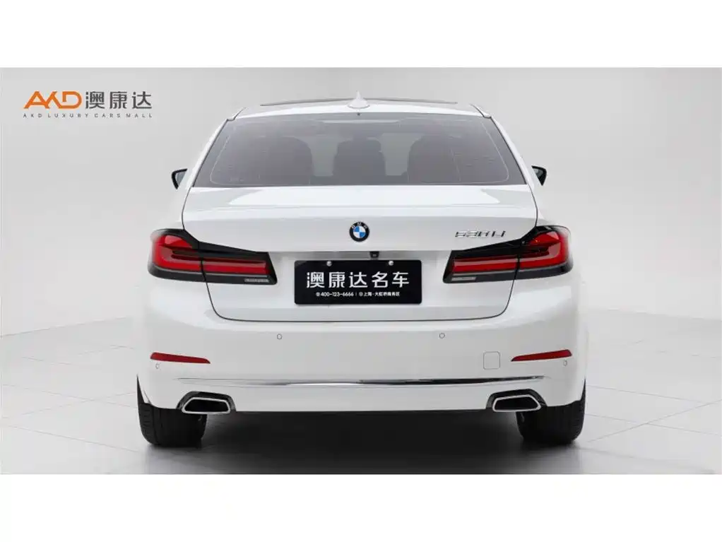 BMW 5 Series 2020 530Li Leading Luxury Package фото 4