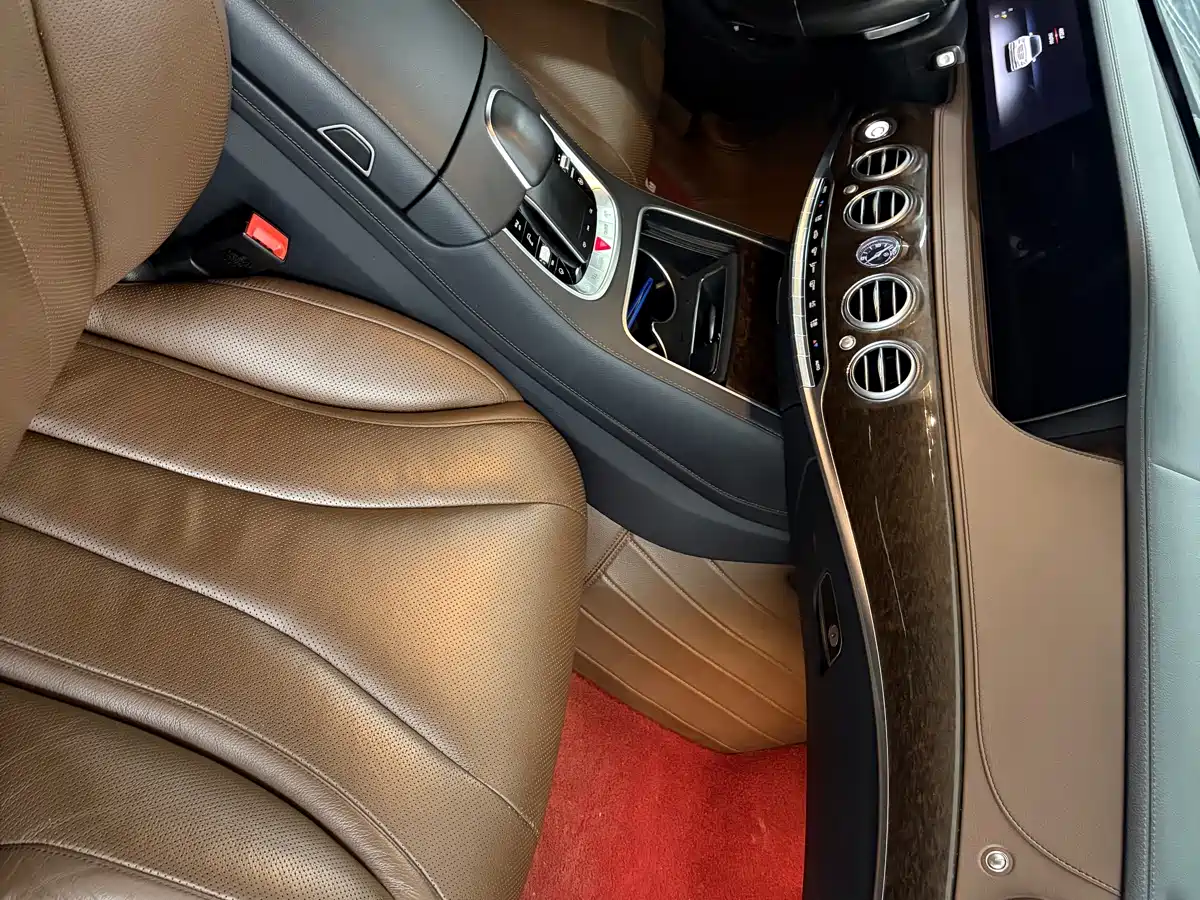 Mercedes-Benz S-Class 2020 S 350 L Business Edition Collector's Version фото 13