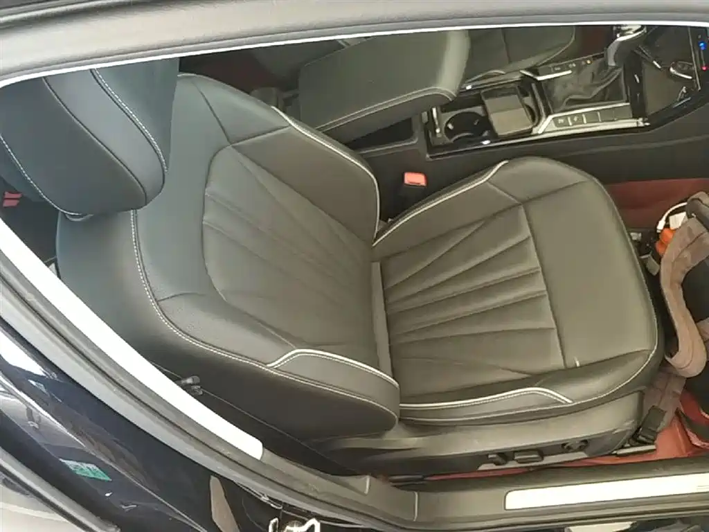 Volkswagen Passat 2024 380TSI Starlight Luxury Edition фото 25