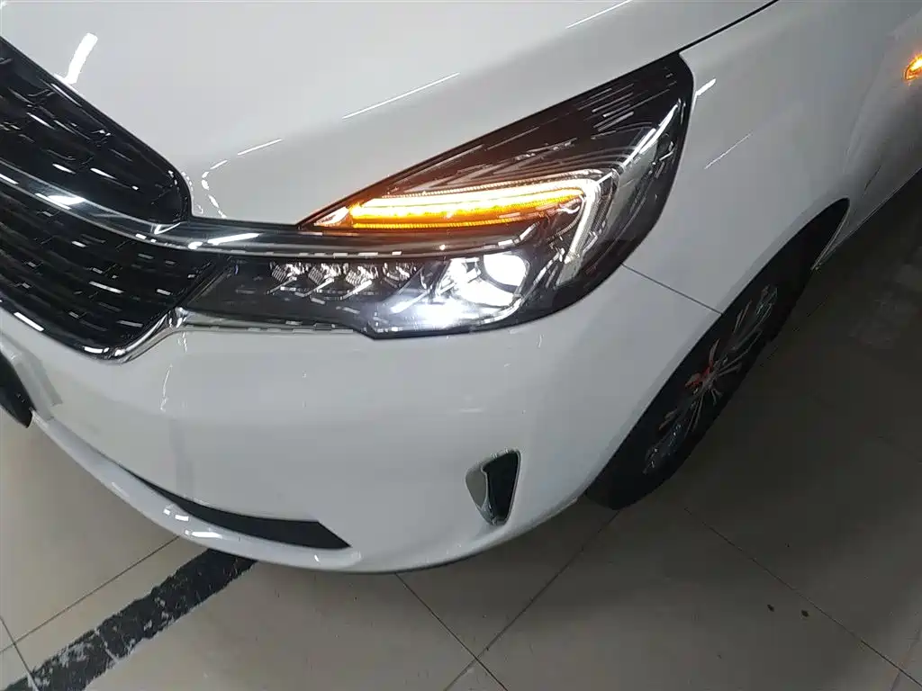 Buick GL8 2022 Land Business Class 652T Luxury фото 18