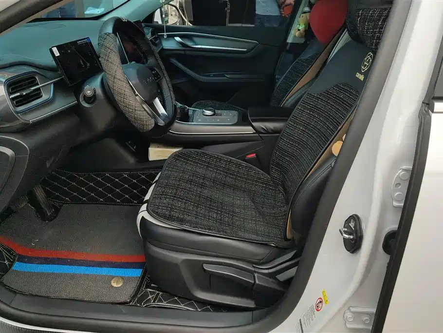 BYD Destroyer 05 2024 Glory Edition DM-i 55KM Luxury фото 9