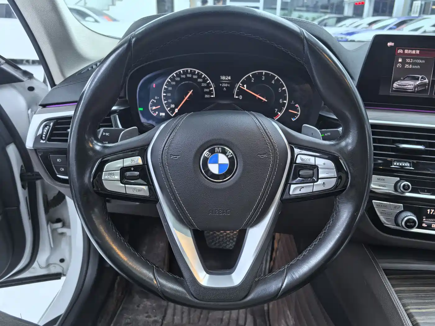 BMW 5 Series 2019 530Li Premium Luxury Package фото 10